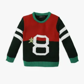 Boy's Regular Fit Jacquard Sweater