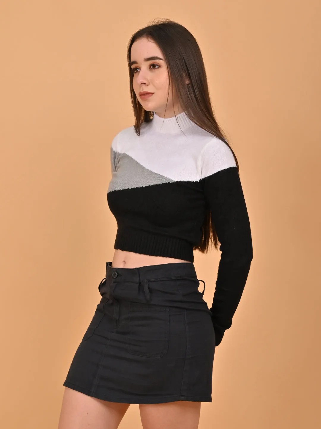 Women Colorblock Cropped High Neck Sweater